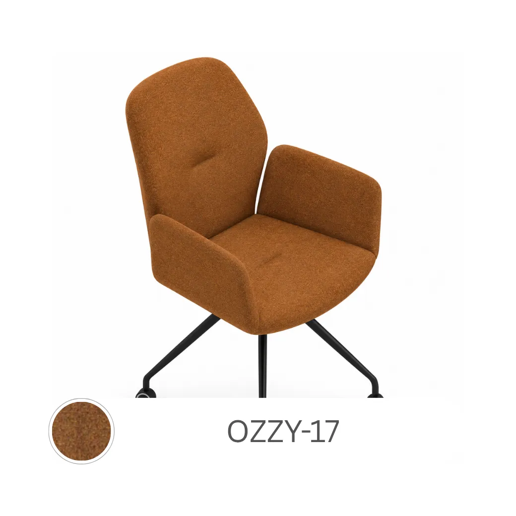 OZZY 17